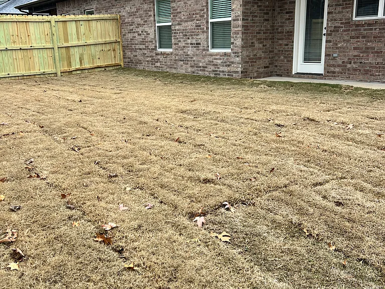 520 Cosmos St — Photo 21