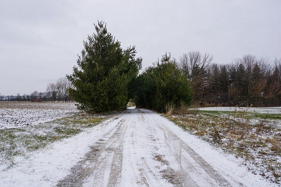 1st image of 2868 N State Highway 9