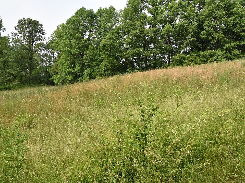 2nd image of Country Club Rd