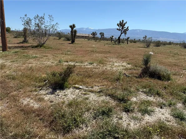 0 La Mesa Rd, Pinon Hills, CA 92372