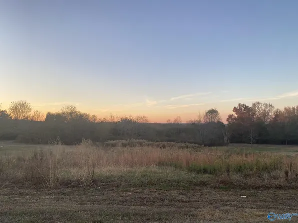 55 County Road 1010, Fort Payne, AL 35968