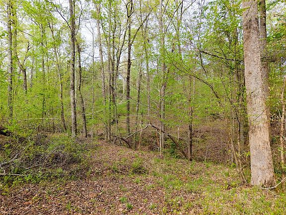 3rd image of 579 Mordeci Mountain Rd