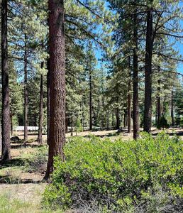 11937 Lamplighter Way, Truckee, CA, 96161