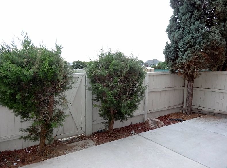 Back Patio