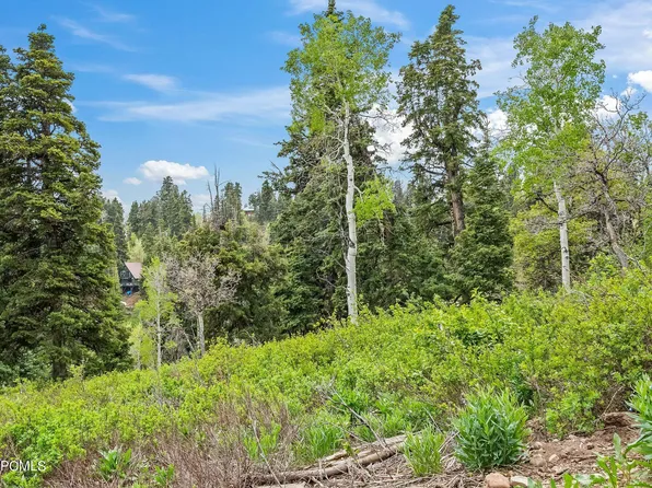 1565 W Navajo Rd #33, Coalville, UT 84017