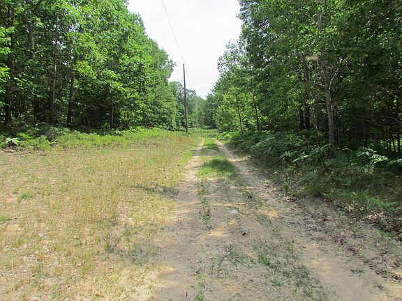 5th image of 4585 Comstock Trail 75 Acres