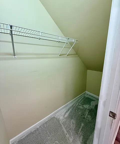 Walk-in downstairs hallway closet
