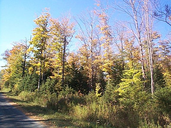 3rd image of Denning Road