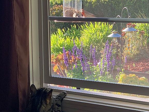 View out Master Bedroom