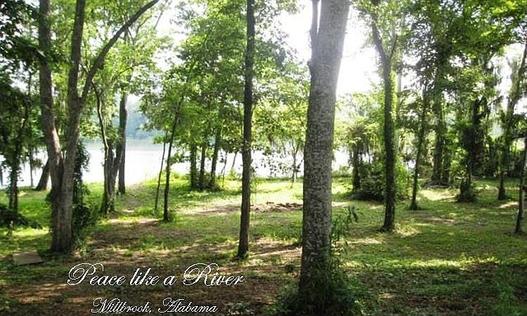 Peace like a River