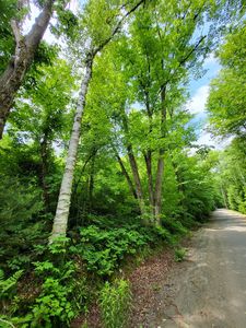 000 Blake Road, Sugar Hill, NH, 03586