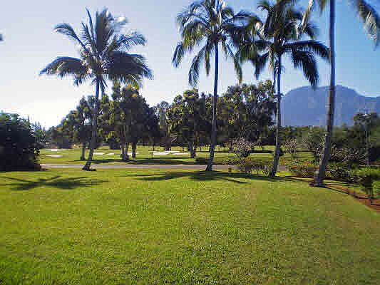2nd image of 3989 Punahele Rd Lot 34
