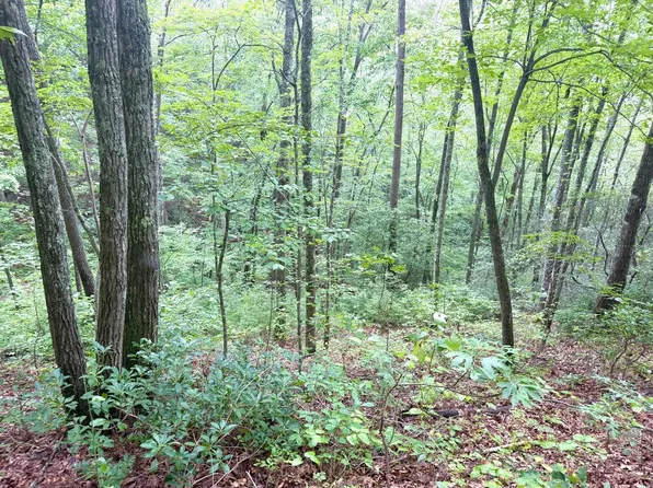 4354 Yellow Creek Rd, Robbinsville, NC 28771