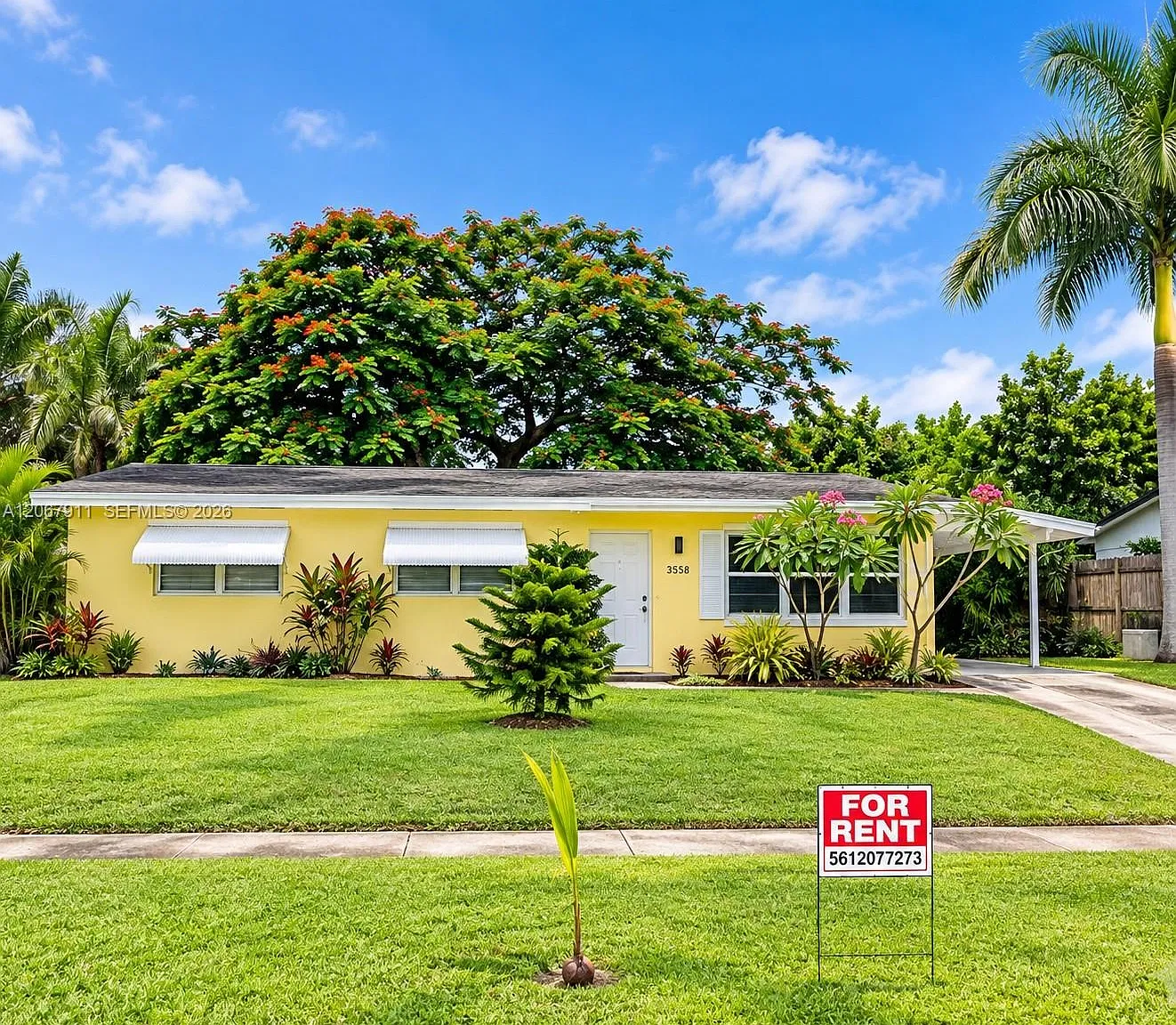 Palm Beach Cabana Colony — Photo 1