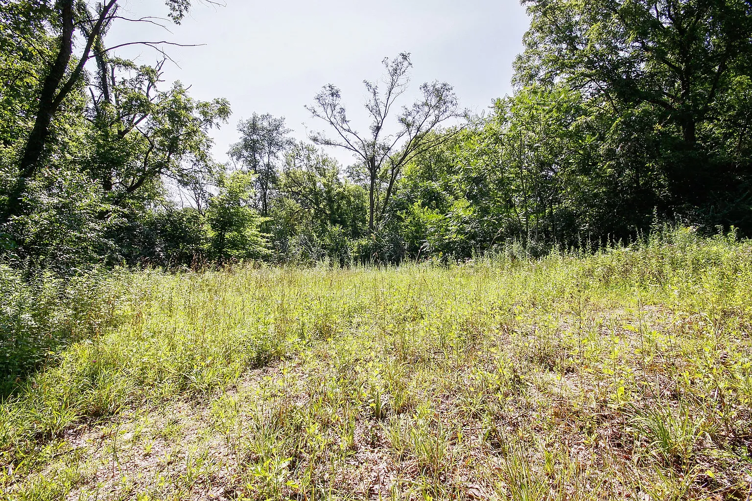 12S664 Lemont Rd photo 1