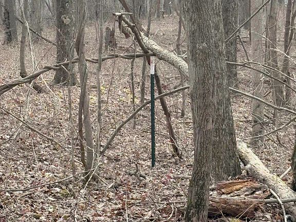 5th image of Pine Grove Rd