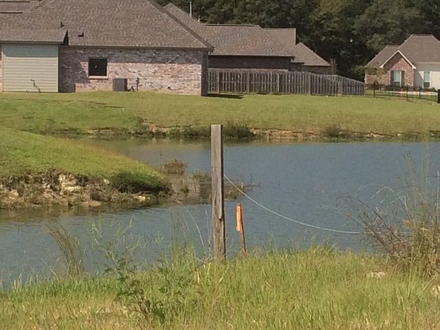 2nd image of 16064 Greenstone Ave