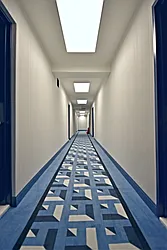 Rented by Bold New York