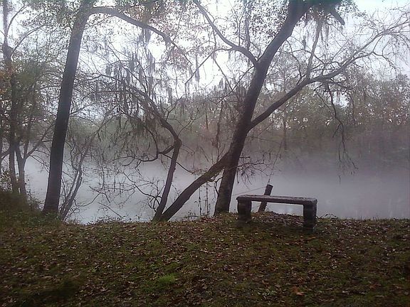 Morning mist off the river