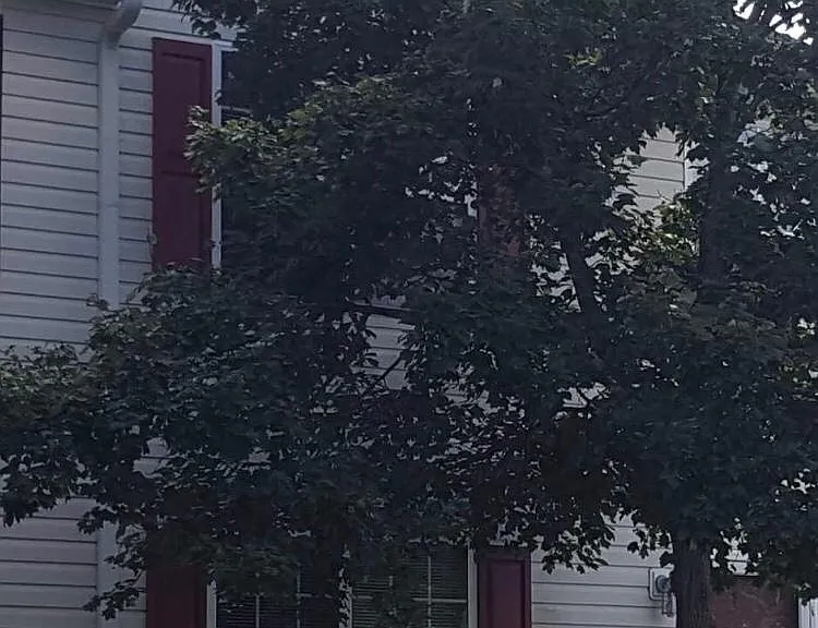 1761 Fielding Way — Photo 14