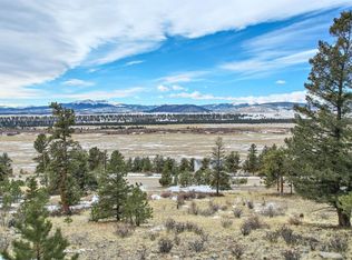 534 Bonell Dr, Fairplay, CO 80440