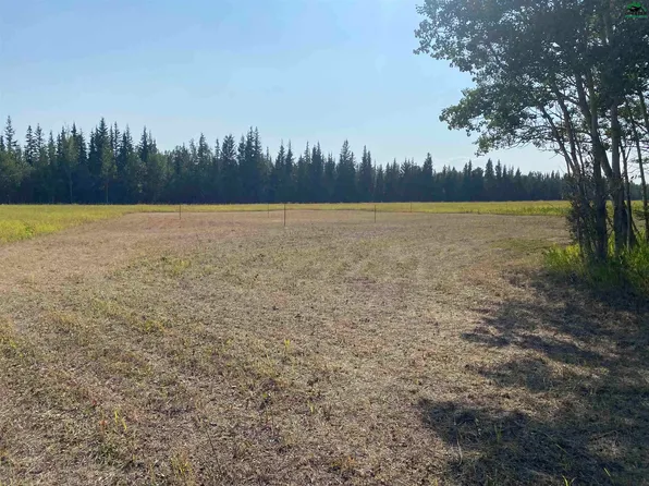 8 Mile Nistler Rd, Delta Junction, AK 99737