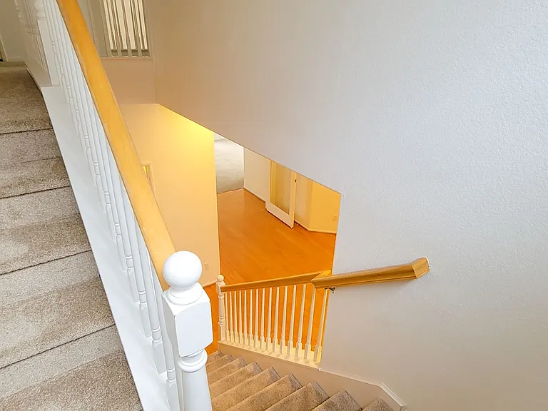 12138 Wooded Vista Ln — Photo 34