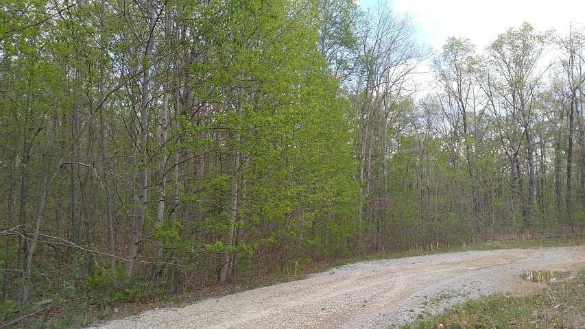 2nd image of 10 Green Forest Rd