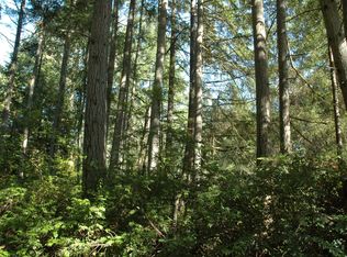 11520 Lake Josephine Blvd, Anderson Island, WA 98303