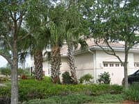 1st image of 3909 Loblolly Bay Dr Unit 101