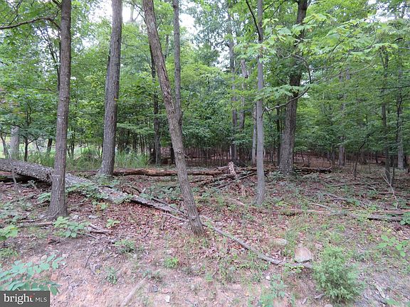 2nd image of LOT 11 Audubon Rd