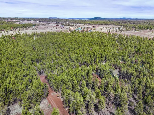 Birdsong Way, Lakeside, AZ 85929