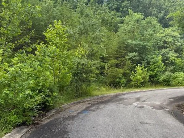 LOT 14 Woodland Creek Dr, Dandridge, TN 37725