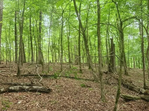 Overcrest Dr, Sims, AR 71969