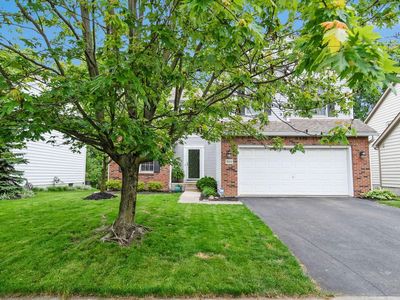 5906 Nash Ave, Westerville, OH, 43081