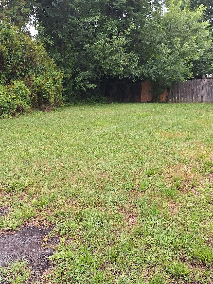 3 bed, 1.0 bath, 1610 sqft, $2,450 — Photo 3