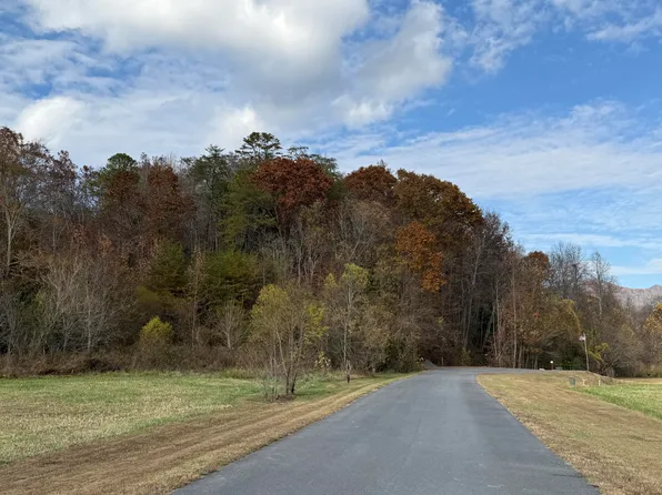 0 Bear Track Way, Del Rio, TN 37727