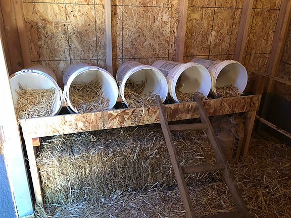 Nesting boxes
