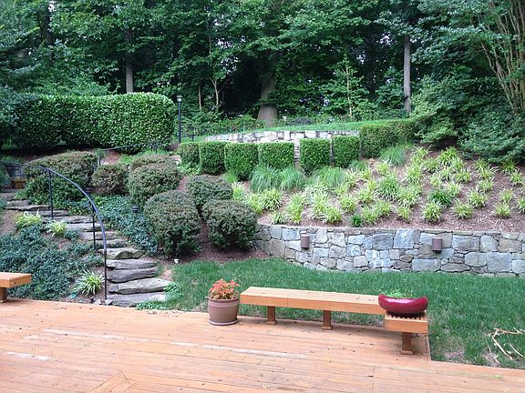 Landscaped Backyard