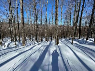 Bassett Hill Rd, Moretown, VT 05660