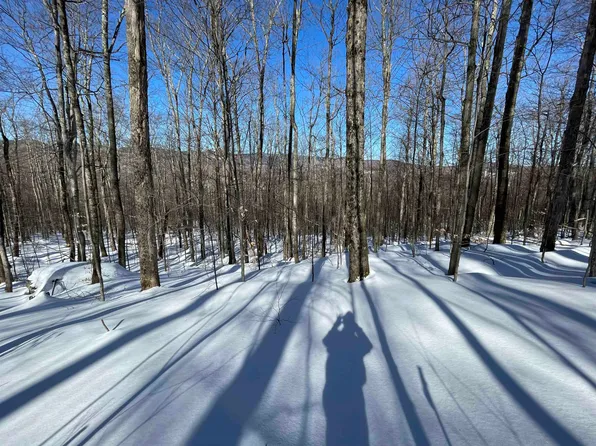Bassett Hill Road, Fayston, VT 05660