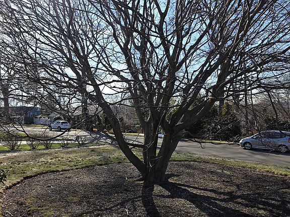 4th image of 5 Tod Road