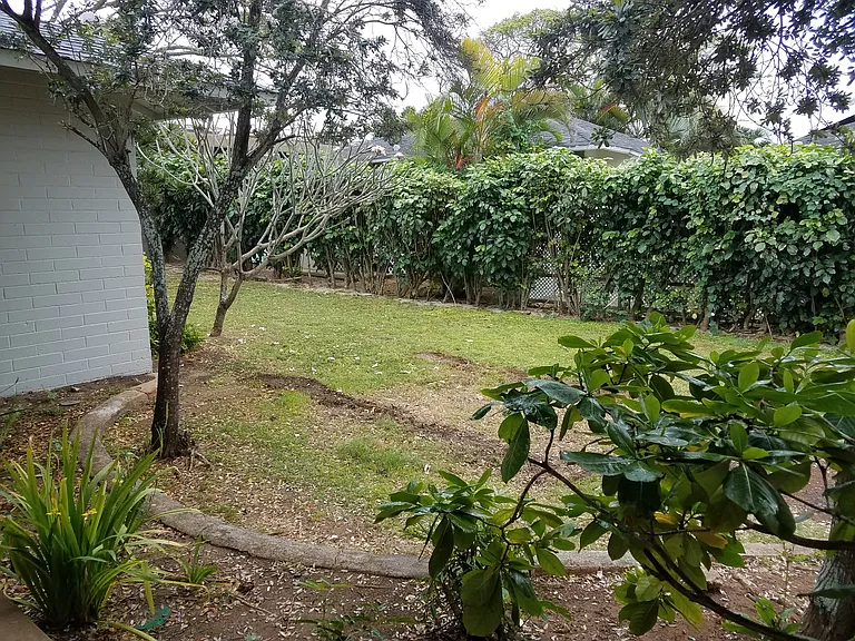 Lush Sideyard