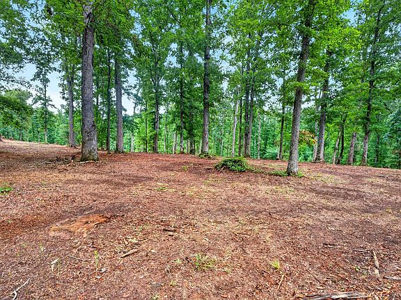 4th image of 223 W Chapman Rd Lot 5
