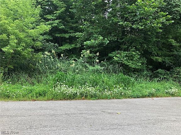 3rd image of Elmwood Dr