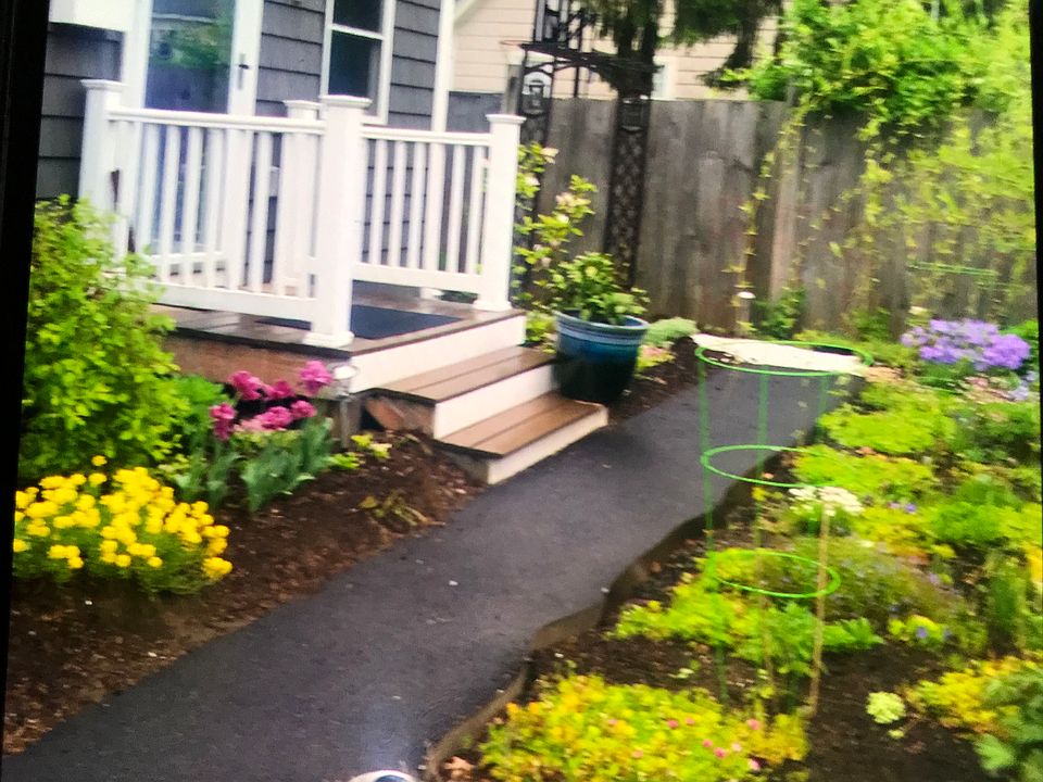 1st image of 12 Sylvester St