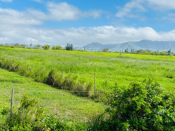 Kilauea Rd, Kilauea, HI 96754