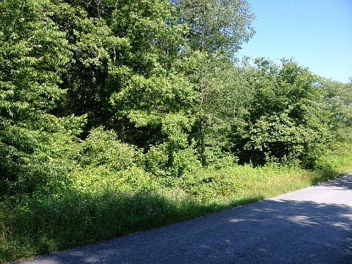 1st image of Forest Dr