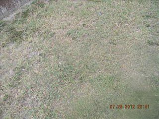 1st image of 3413 N 36th Ln