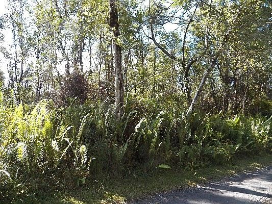 2nd image of 16-383 Melekule St Lot 11
